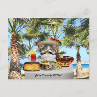 Postal Gato gracioso feliz Cinco de Mayo