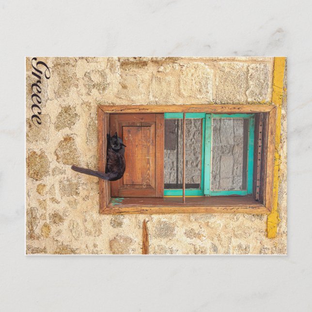 Postal Gato griego (Anverso)