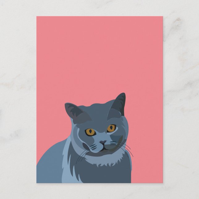 Postal Gato Gris Azul Lover (Anverso)