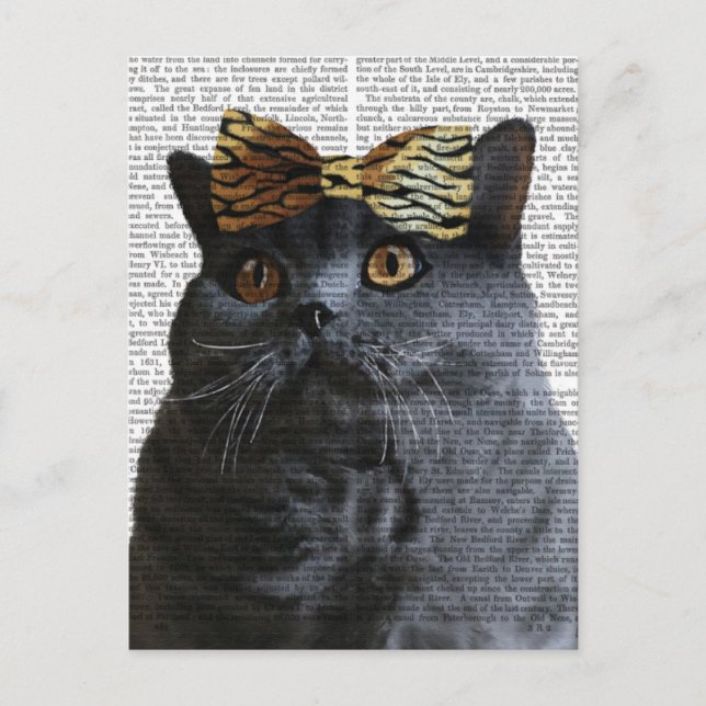 Postal Gato gris con arco de leopardo (Anverso)