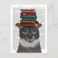 Gato gris con libros en la cabeza