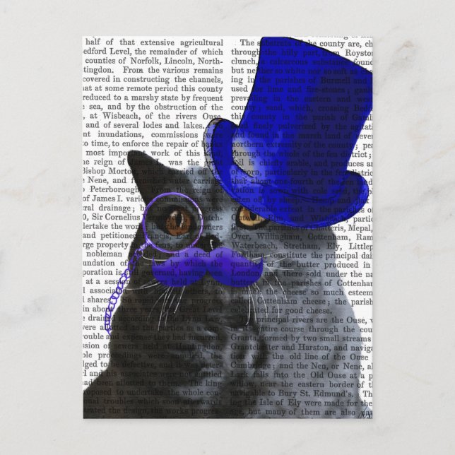 Postal Gato gris con sombrero azul superior y bigote azul (Anverso)