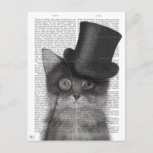Postal Gato gris con sombrero superior (Anverso)