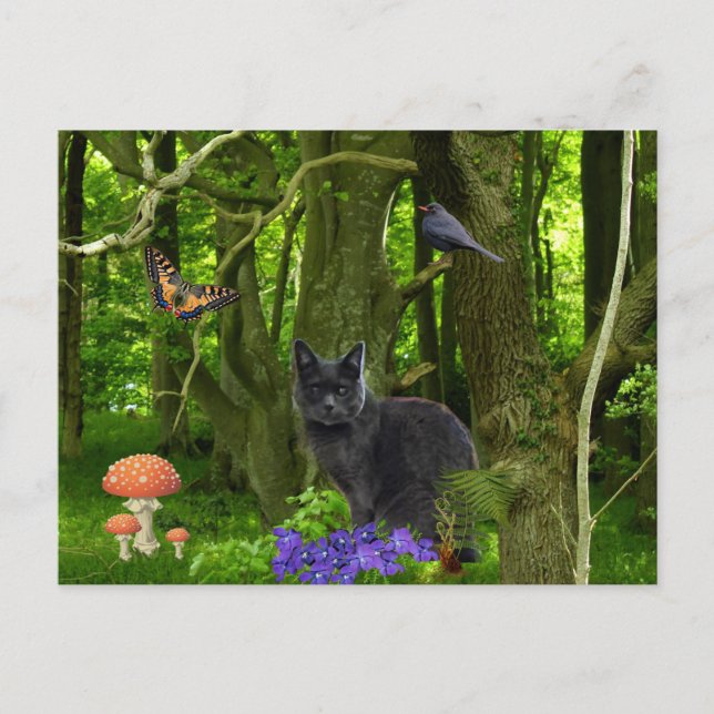 Postal Gato gris en el bosque (Anverso)
