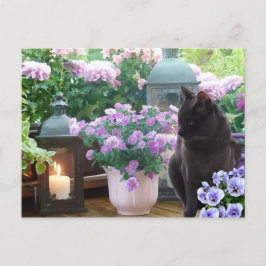 Postal Gato gris en el jardín