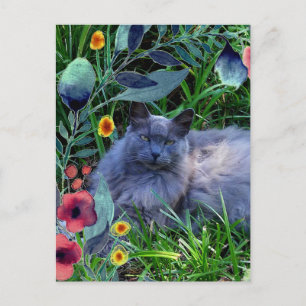 Postal Gato gris esponjoso en jardín con flores