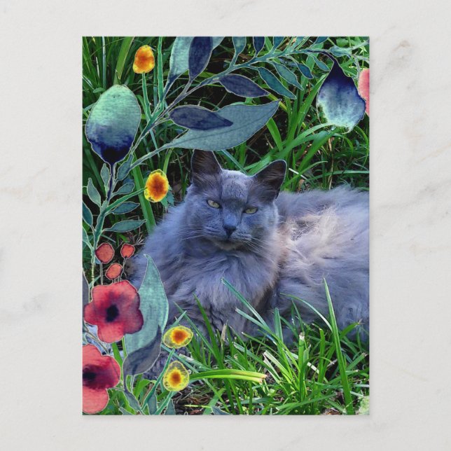 Postal Gato gris esponjoso en jardín con flores (Anverso)