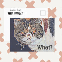 Gato Gruñón Malhumorado Divertido Cumpleaños