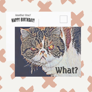 Postal Gato Gruñón Malhumorado Divertido Cumpleaños