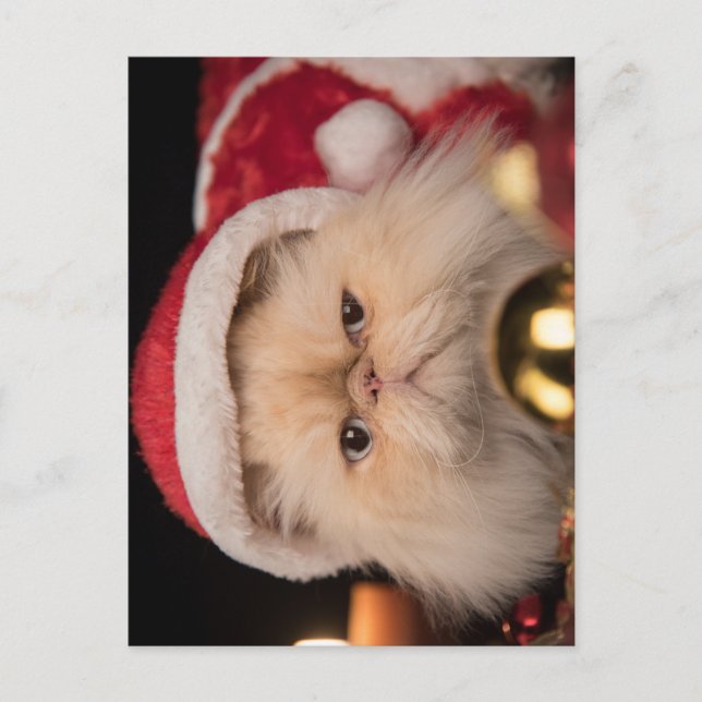 Postal Gato Gruñón Santa (Anverso)