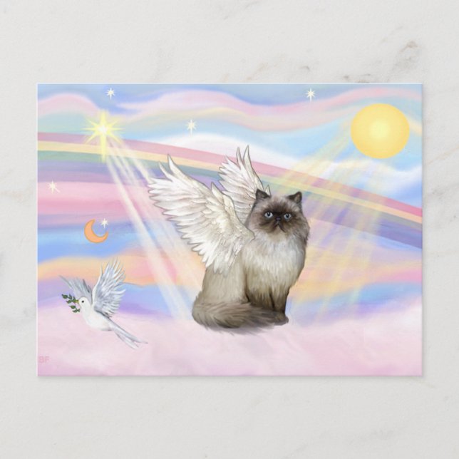 Postal Gato Himalayo de Punta de Chocolate Ángel (Anverso)