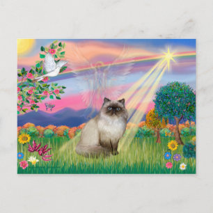 Postal Gato Himalayo de Punta de Chocolate - Ángel de la