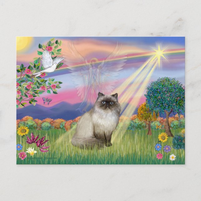 Postal Gato Himalayo de Punta de Chocolate - Ángel de la  (Anverso)