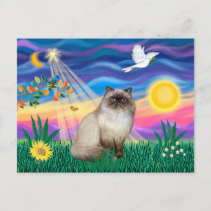 Postal Gato Himalayo de Punta de Chocolate - Crepúsculo