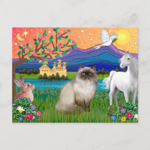 Postal Gato Himalayo de Punta de Chocolate - Tierra de Fa