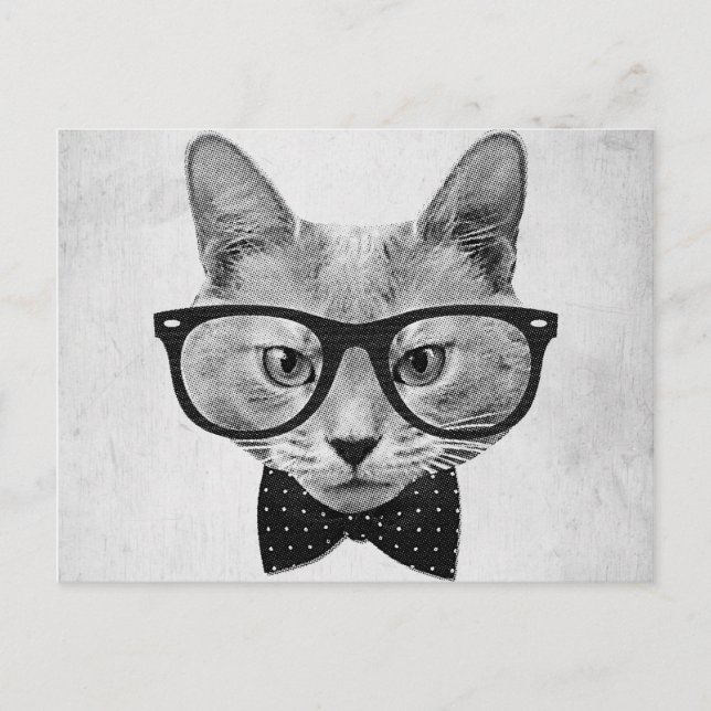 Postal Gato hipster vintage (Anverso)