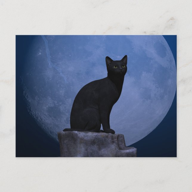 Postal Gato iluminado por la luna (Anverso)