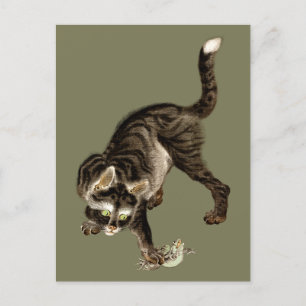 Postal Gato japonés atrapando una rana