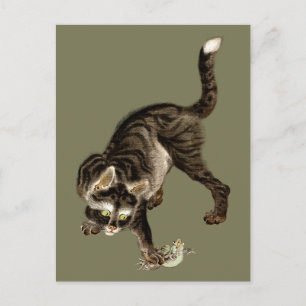 Postal Gato Japonés Atrapando una Rana
