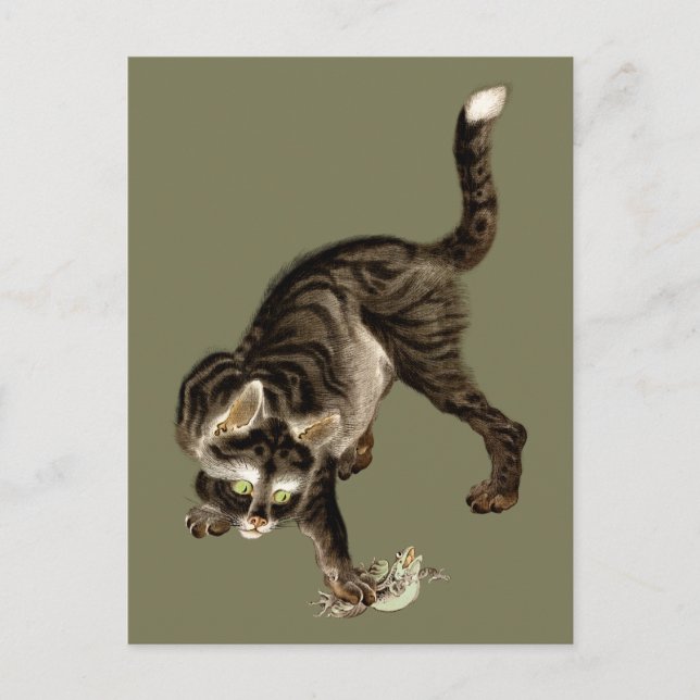 Postal Gato japonés atrapando una rana (Anverso)