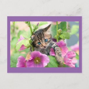 Postal Gato lindo con flores rosadas