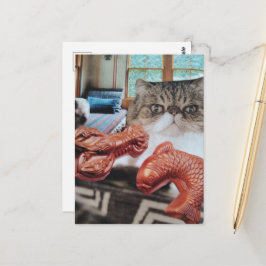 Postal Gato Lindo Con Langosta y Collage de Pescado