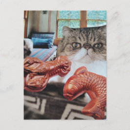 Postal Gato Lindo Con Langosta y Collage de Pescado