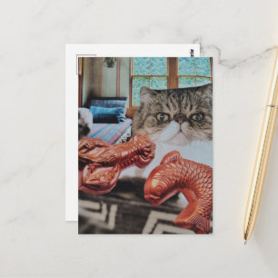 Postal Gato Lindo con Langosta y Collage de Pescado