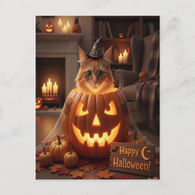 Postal Gato lindo en Halloween de calabaza para los amant (Anverso)