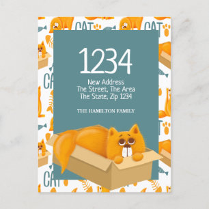 Postal Gato lindo en una caja - Nos hemos mudado a casa