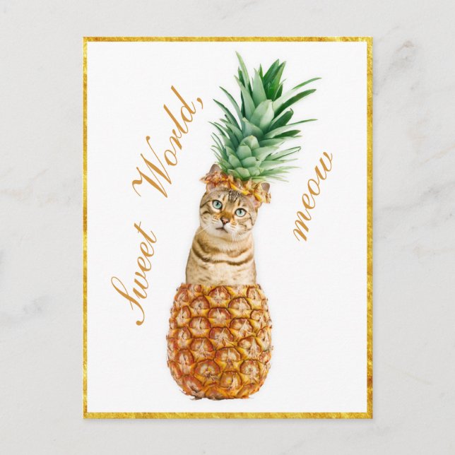 Postal Gato lindo en una piña - Gracioso Meow Kitty (Anverso)