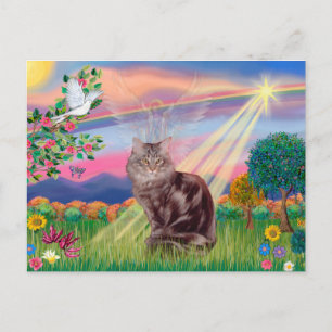 Postal Gato Maine Coon - Ángel de la Nube