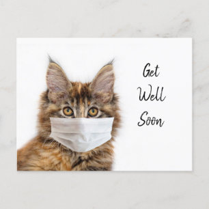 Postal Gato Maine Coon con mascarilla para recuperarse