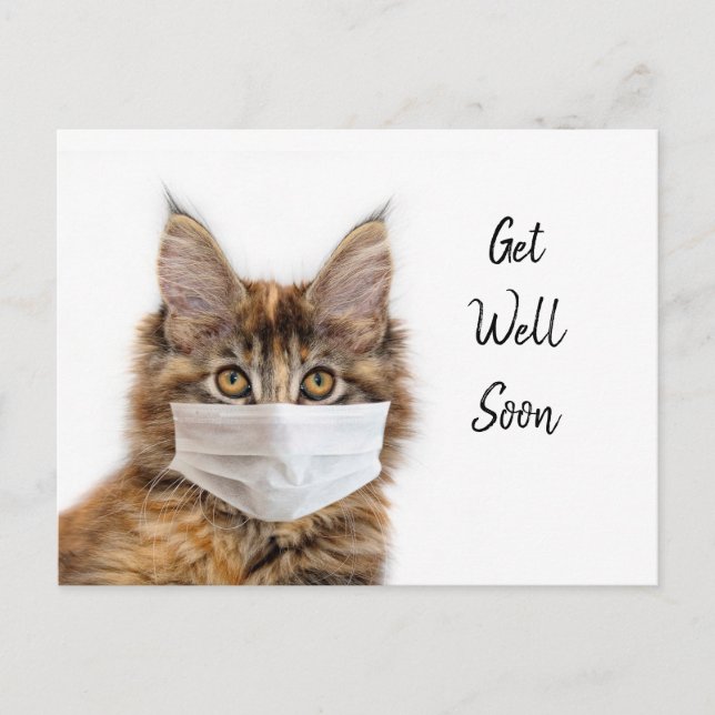 Postal Gato Maine Coon con mascarilla para recuperarse (Anverso)