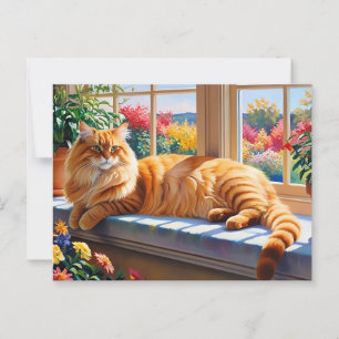 Postal Gato Maine Coon Naranja 