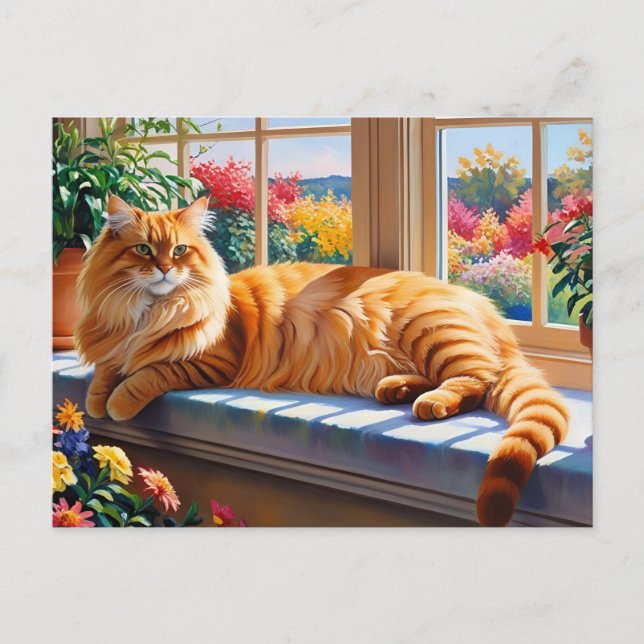 Postal Gato Maine Coon Naranja  (Anverso)