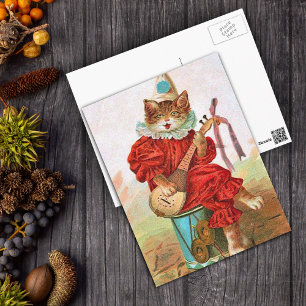 Postal Gato Mandolin