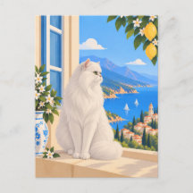 Gato Mediterráneo Persa Blanco