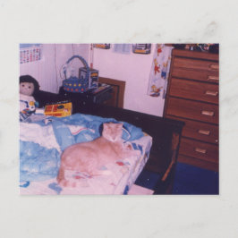 Postal Gato melancólico en la cama