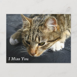 Postal [Gato melancólico] Te Extraño
