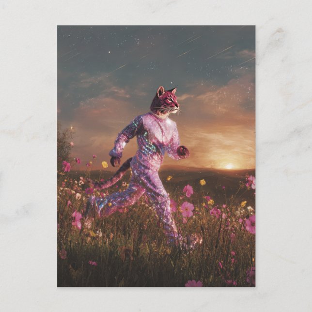 Postal Gato montés con traje rosa (Anverso)