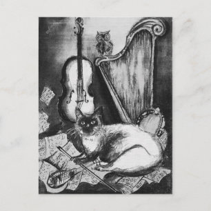 Postal GATO MUSICAL, OWL,VIOLIN,HARP Black White Gray Mus
