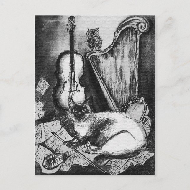 Postal GATO MUSICAL, OWL,VIOLIN,HARP Black White Gray Mus (Anverso)