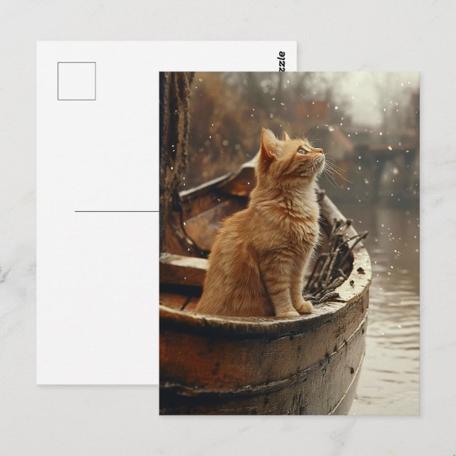 Postal Gato naranja en un bote de madera (Anverso / Reverso)
