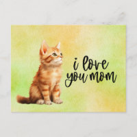 Gato Naranja Te amo Mamá 
