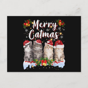 Postal Gato Navidad Sombrero Santa Divertido Alegre Catma