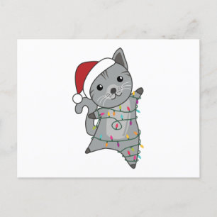 Postal Gato Navidades Nieve Animales De Invierno Gatos