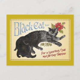 Postal Gato negro