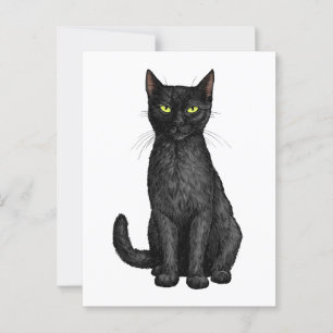Postal Gato negro