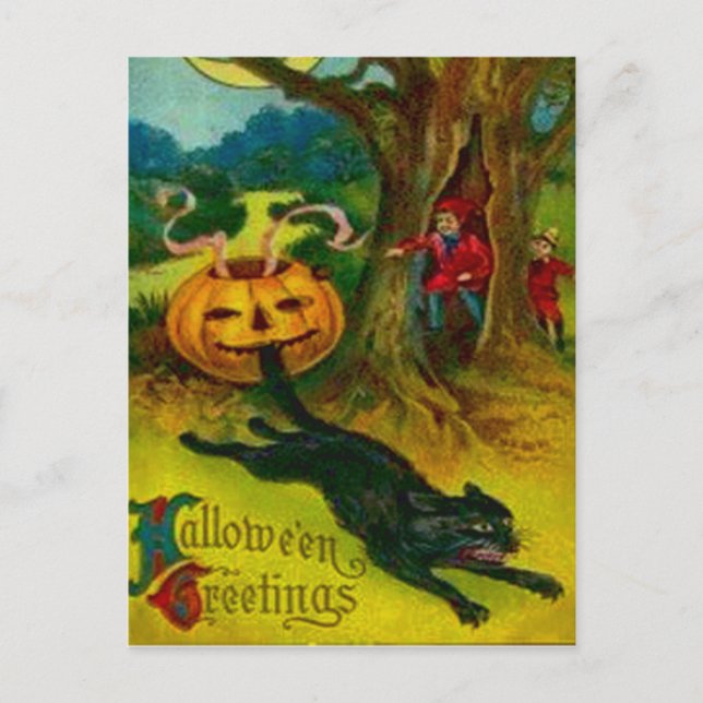 Postal Gato negro (Anverso)